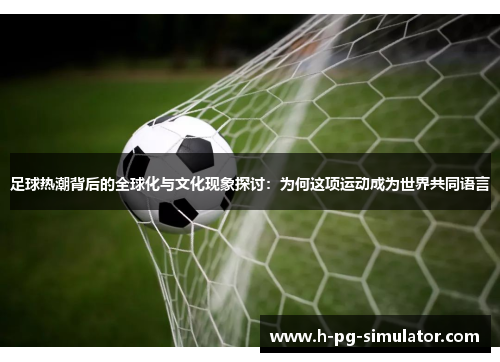 足球热潮背后的全球化与文化现象探讨：为何这项运动成为世界共同语言