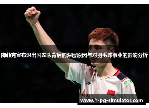 陶菲克宣布退出国家队背后的深层原因与对羽毛球事业的影响分析