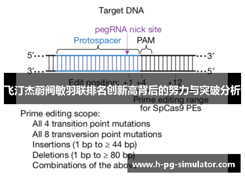 飞汀杰蔚阀敏羽联排名创新高背后的努力与突破分析